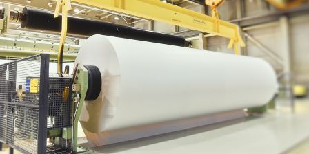 Print & Paper